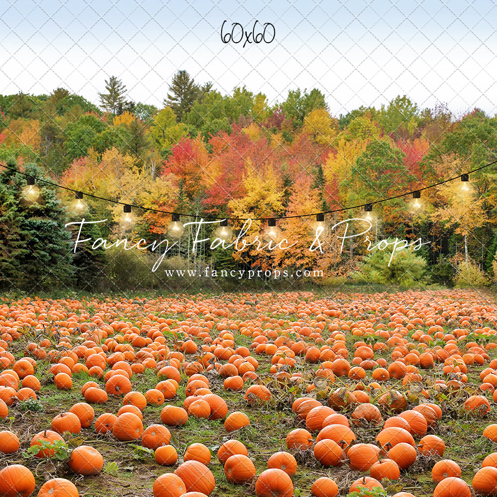 Welcome To The Pumpkin Patch Mini Room