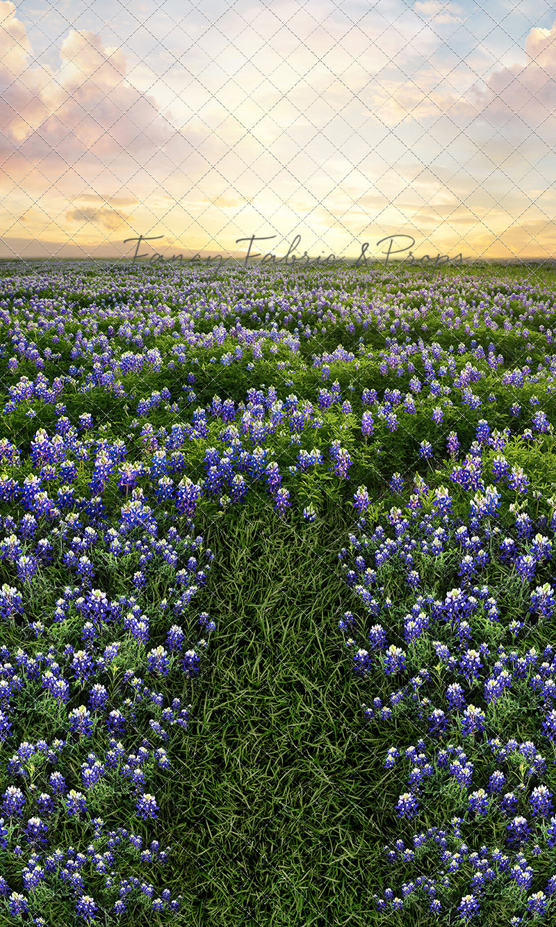 Blue Bonnet Sunrise - With Sweep Option