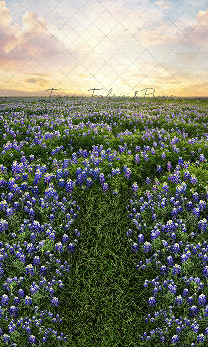 Blue Bonnet Sunrise - With Sweep Option