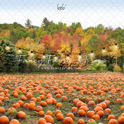 Welcome To The Pumpkin Patch Mini Room