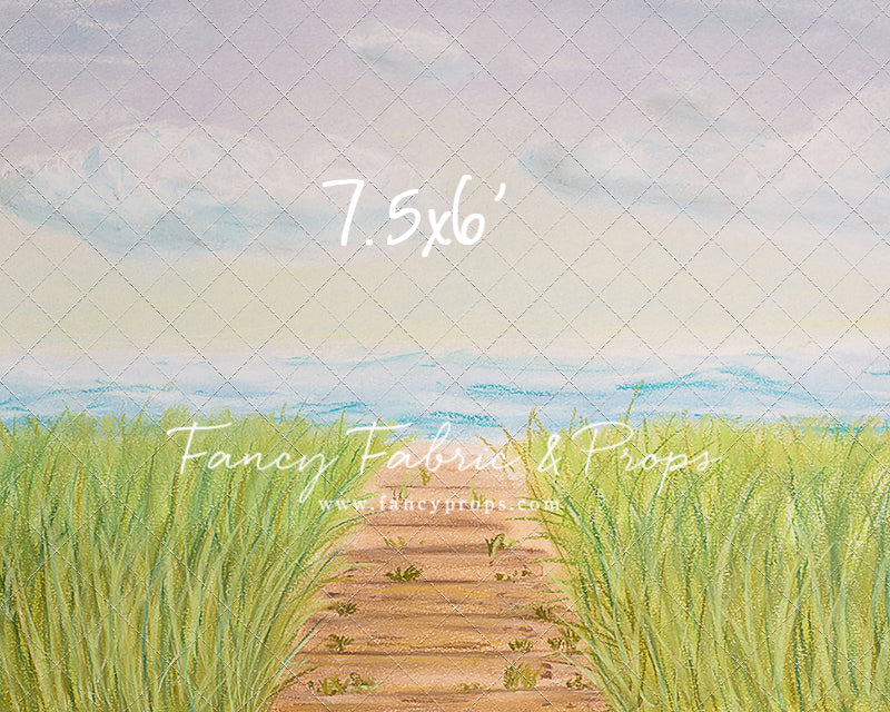 Beachfront Boardwalk