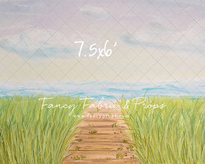 Beachfront Boardwalk