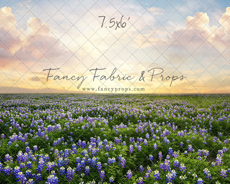 Blue Bonnet Sunrise - With Sweep Option