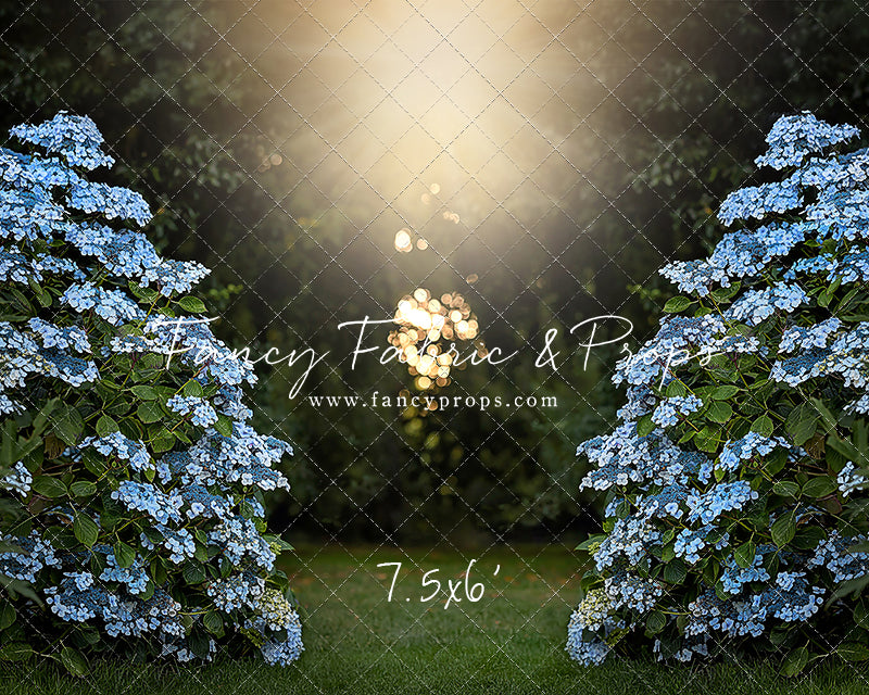 Blue Hydrangea Hideaway