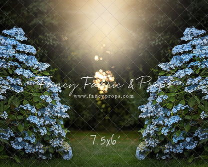 Blue Hydrangea Hideaway