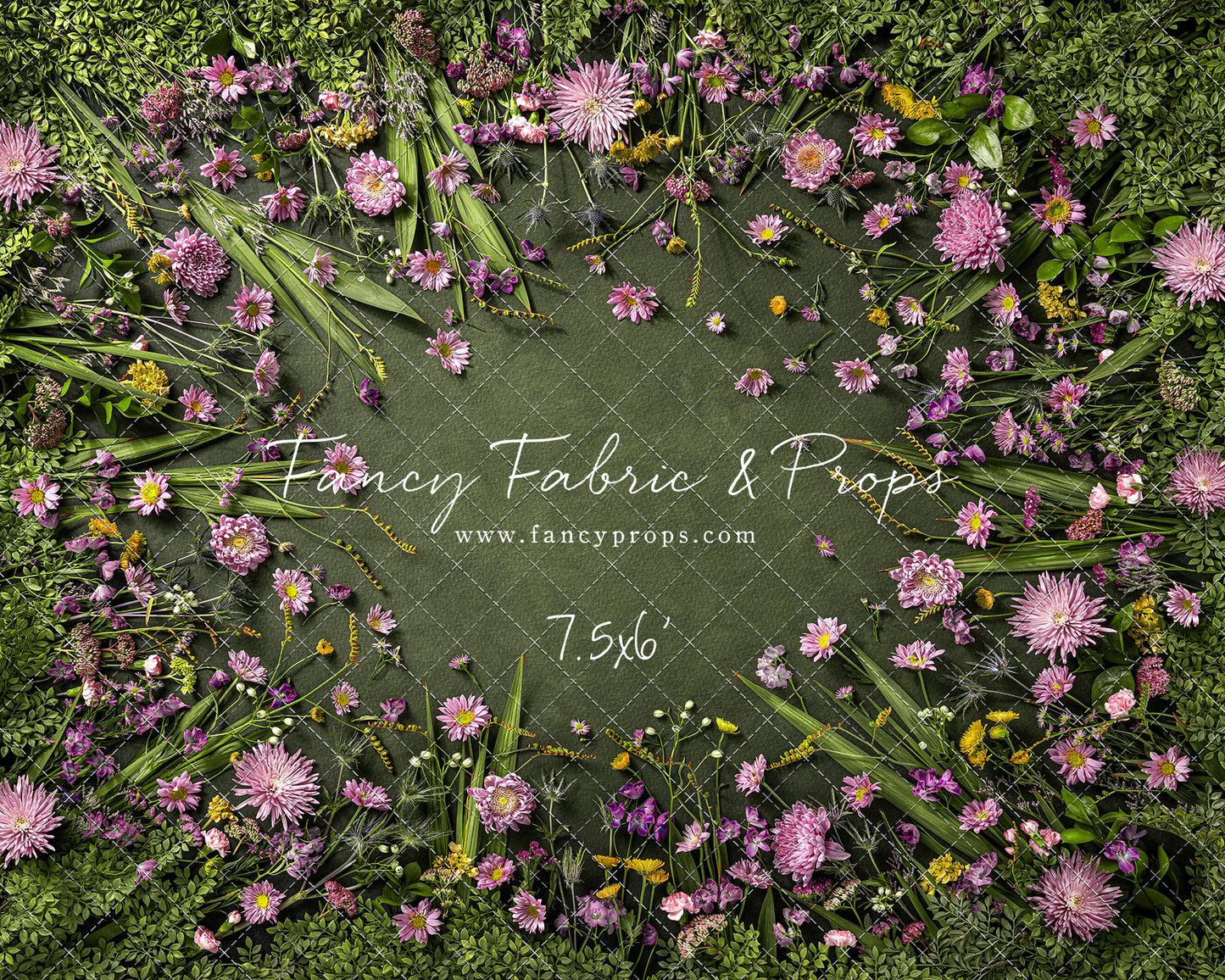 Chrysanthemum Blooms