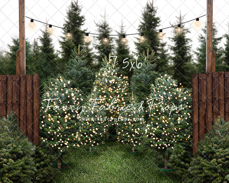 Cut & Carry Tree Farm