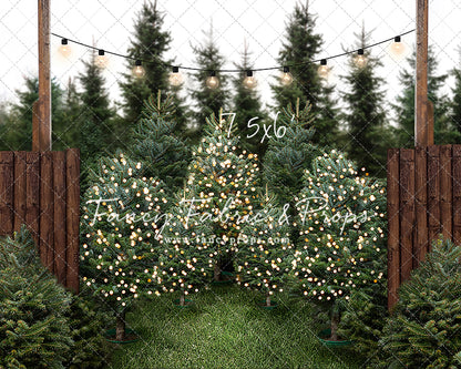 Cut & Carry Tree Farm