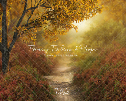 Dreamy Evening Path - With Sweep Option