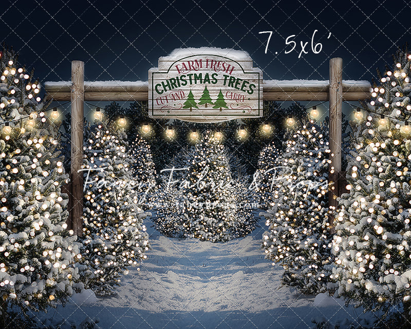 Evening Snowy Tree Farm Entrance