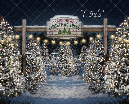 Evening Snowy Tree Farm Entrance