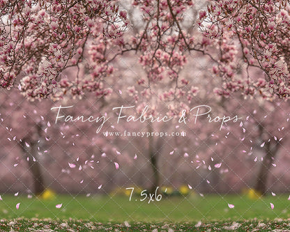 Falling Magnolias