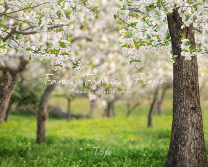 Flowering Forest Trees