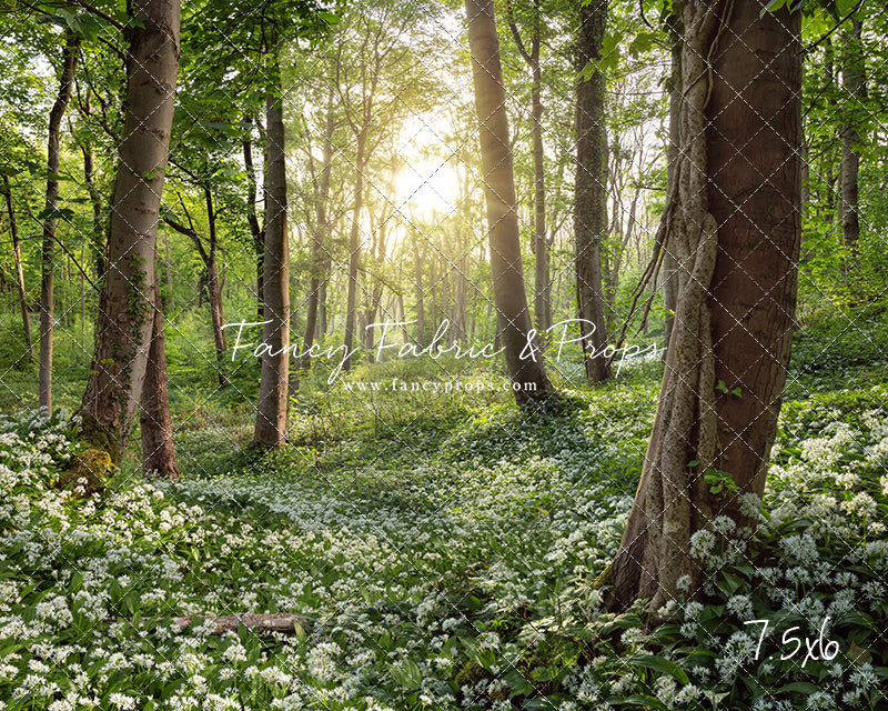 Flowering Forest White Meadow
