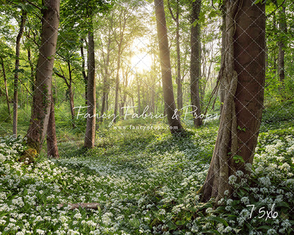 Flowering Forest White Meadow