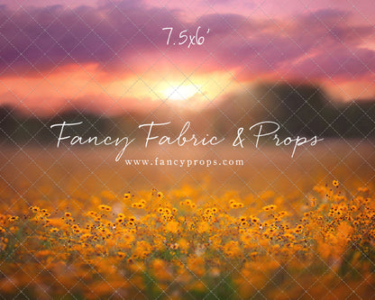 Golden Hour Wildflowers