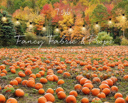 It's Pumpkin Pickin' Time