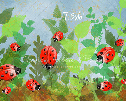 Lady Lovebugs