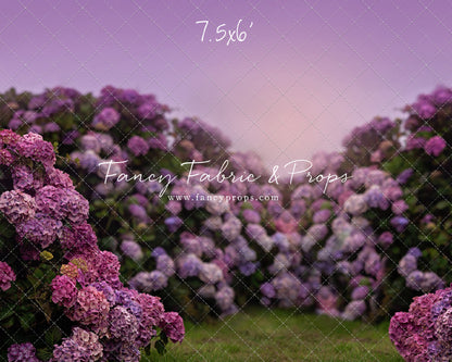 Purple Hydrangea Hollow