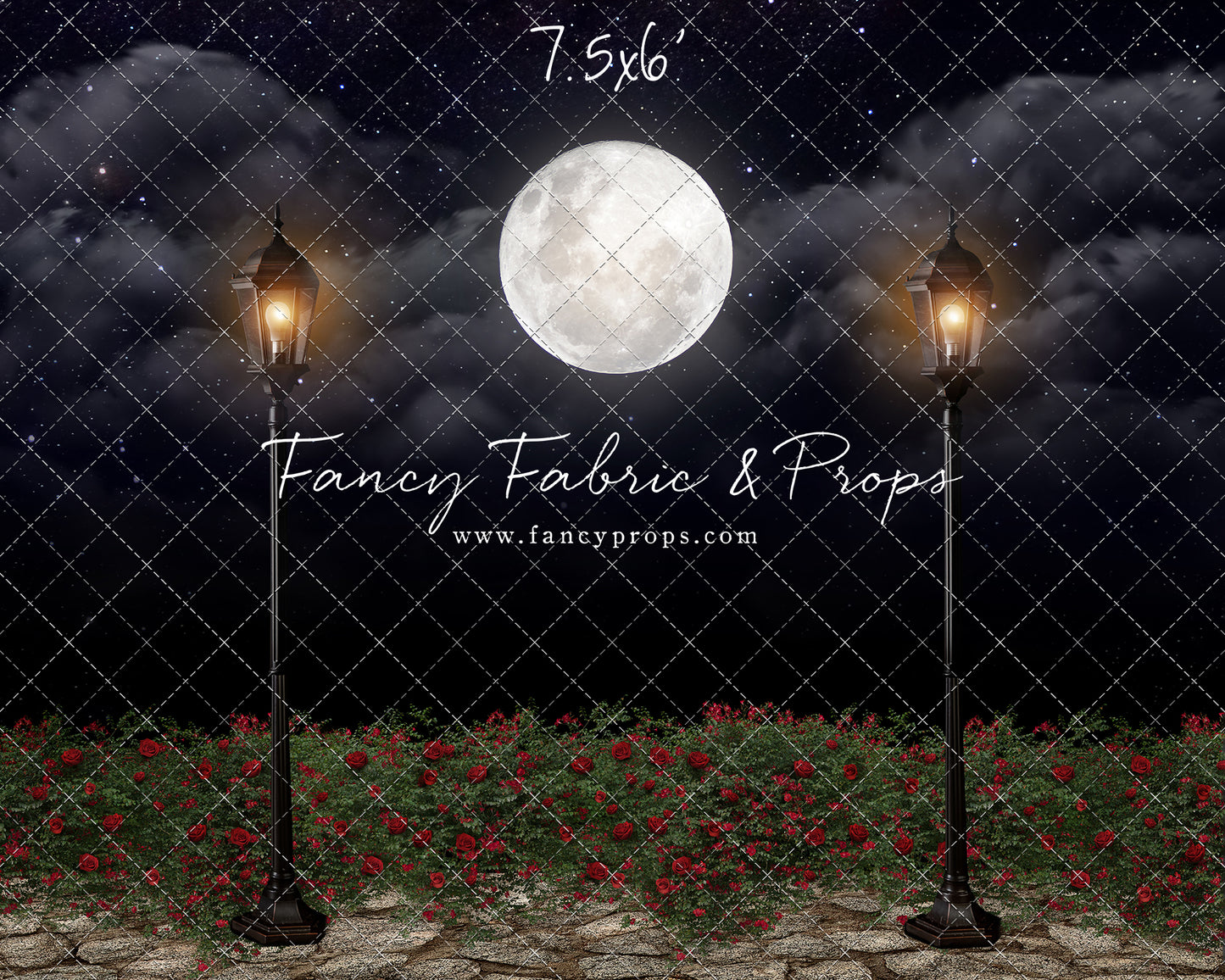 Romantic Moonlit Stroll