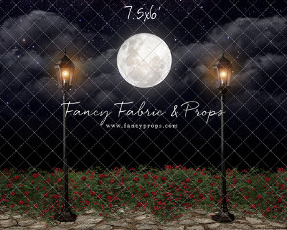 Romantic Moonlit Stroll