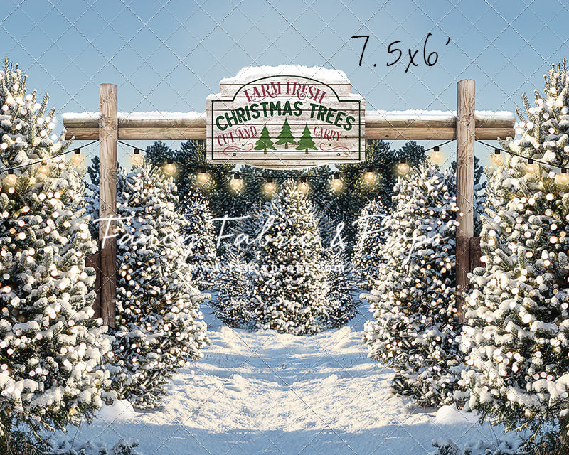 Snowy Winter Tree Farm
