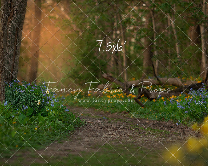 Spring Bluebell Path