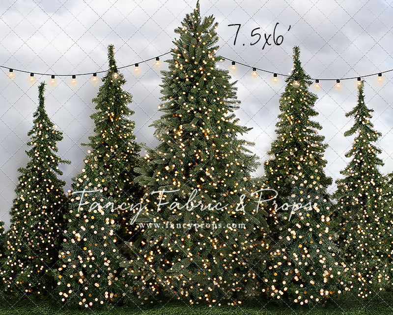 Tree Farm Traditions