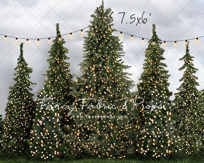 Tree Farm Traditions