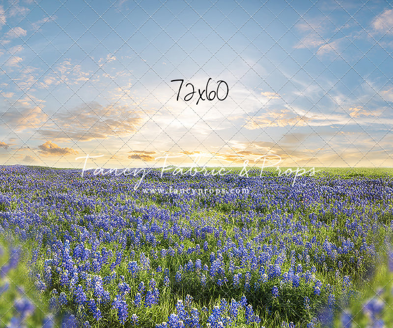 Blue Bonnet Afternoon