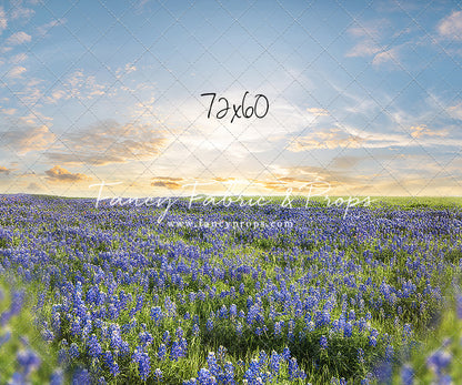 Blue Bonnet Afternoon