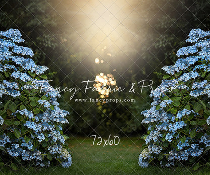 Blue Hydrangea Hideaway