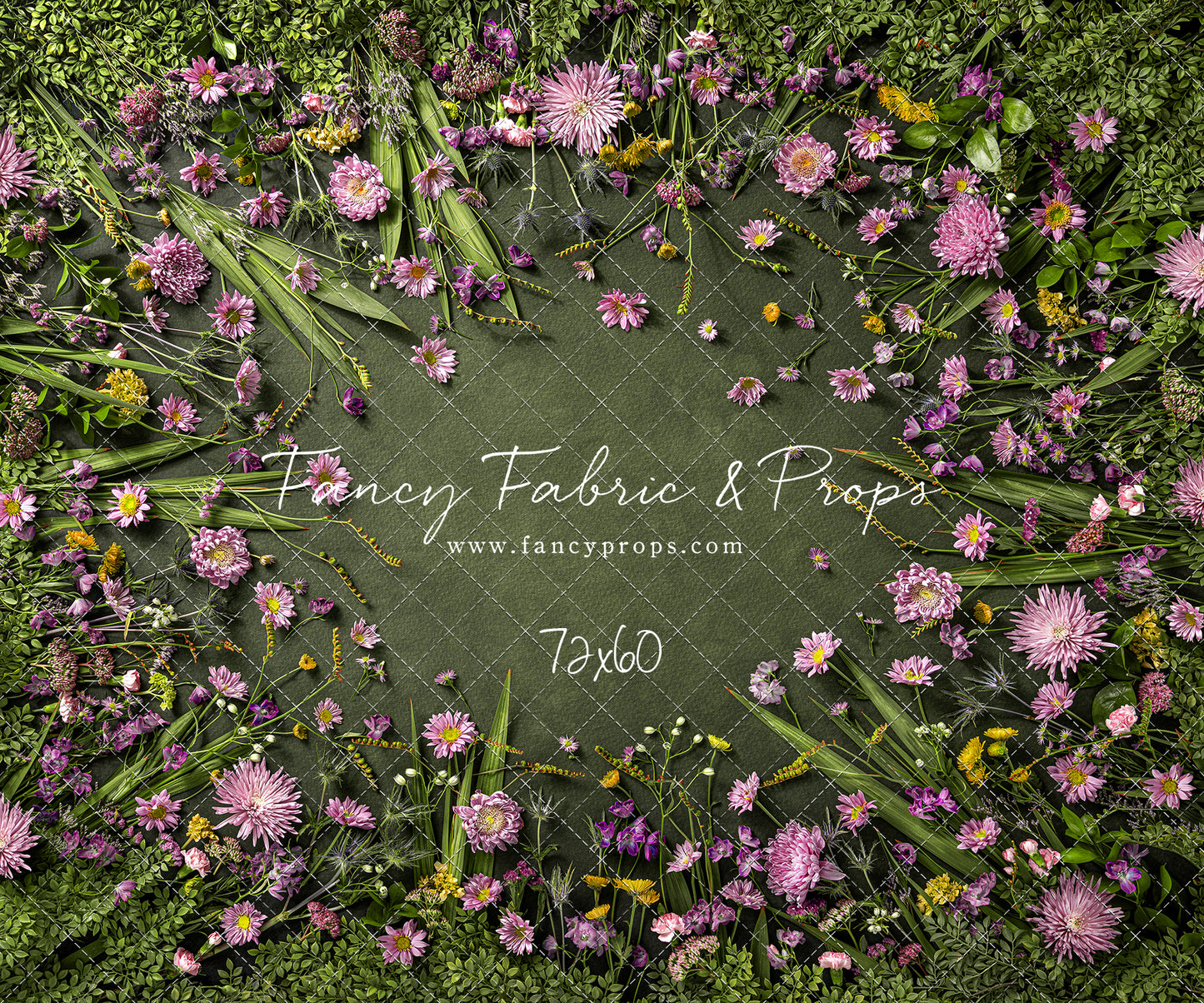 Chrysanthemum Blooms