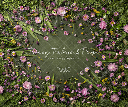 Chrysanthemum Blooms