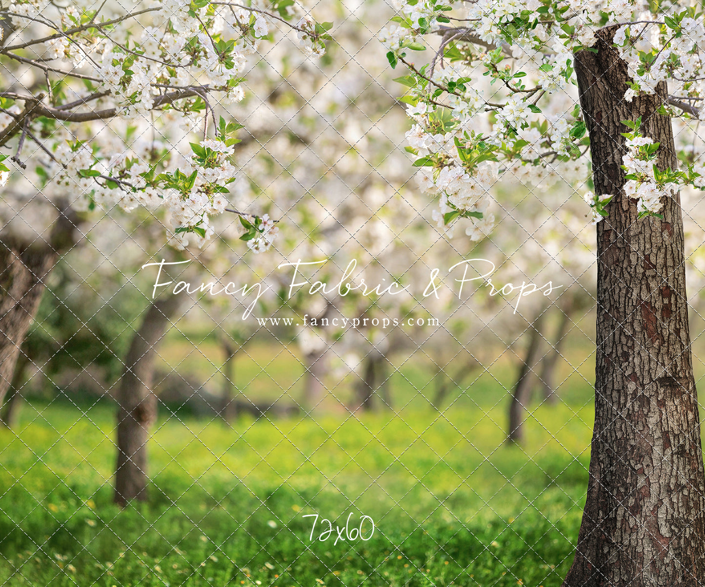 Flowering Forest Trees