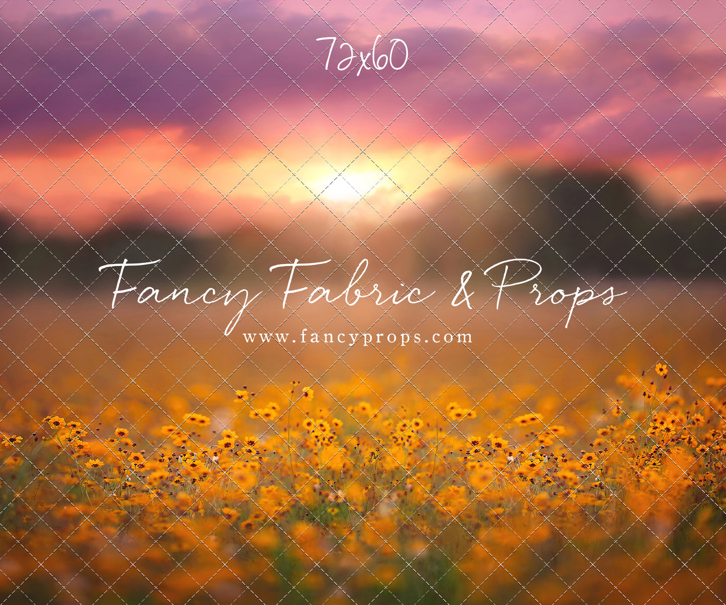 Golden Hour Wildflowers