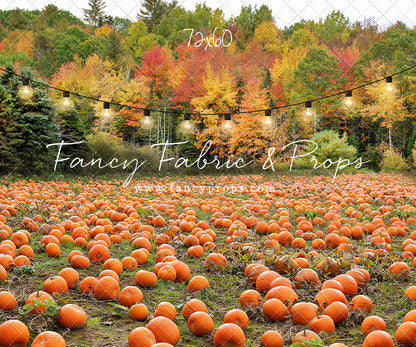 It's Pumpkin Pickin' Time