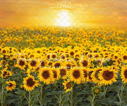 Sunflower Sunset