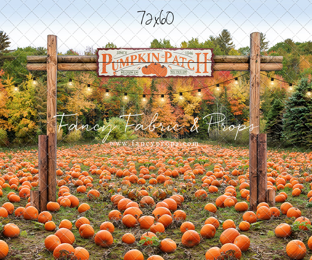 Welcome To The Pumpkin Patch