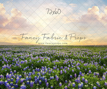 Blue Bonnet Sunrise - With Sweep Option