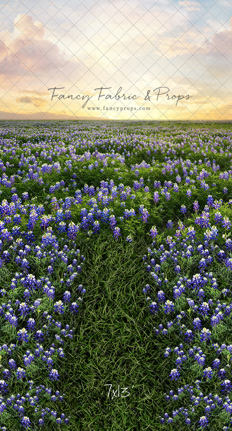Blue Bonnet Sunrise - With Sweep Option