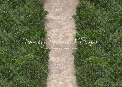 Spring Garden Pathway Mat Floor