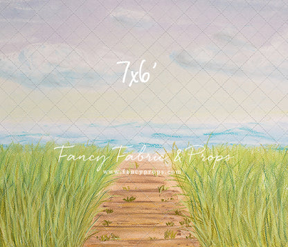 Beachfront Boardwalk