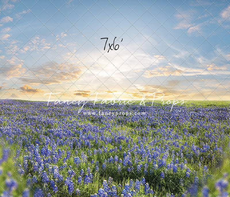 Blue Bonnet Afternoon