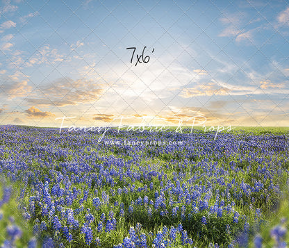 Blue Bonnet Afternoon