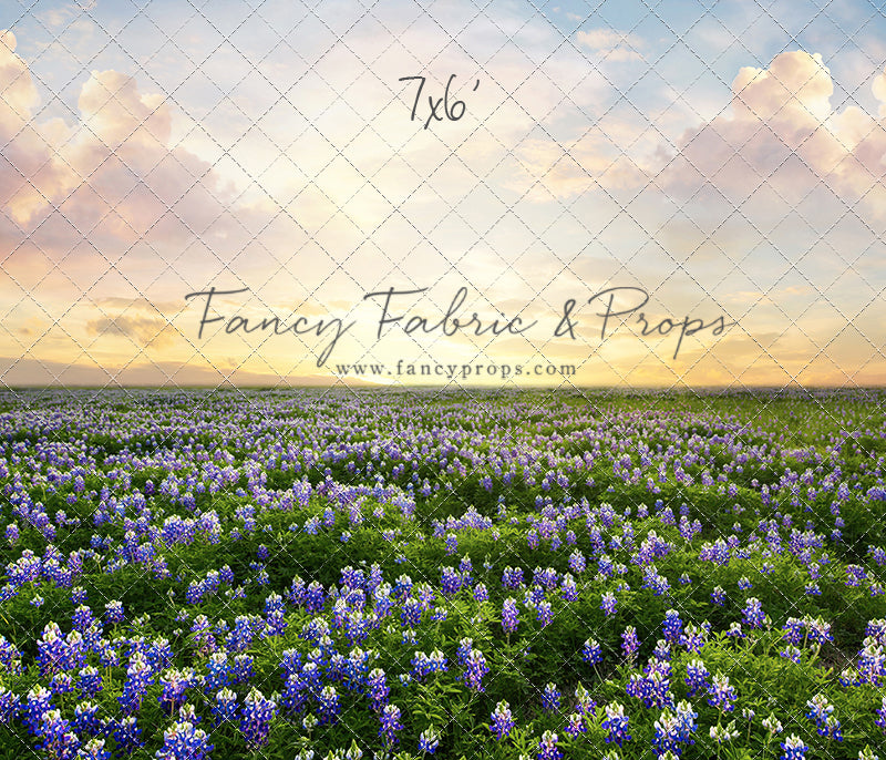 Blue Bonnet Sunrise - With Sweep Option