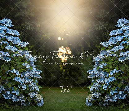 Blue Hydrangea Hideaway