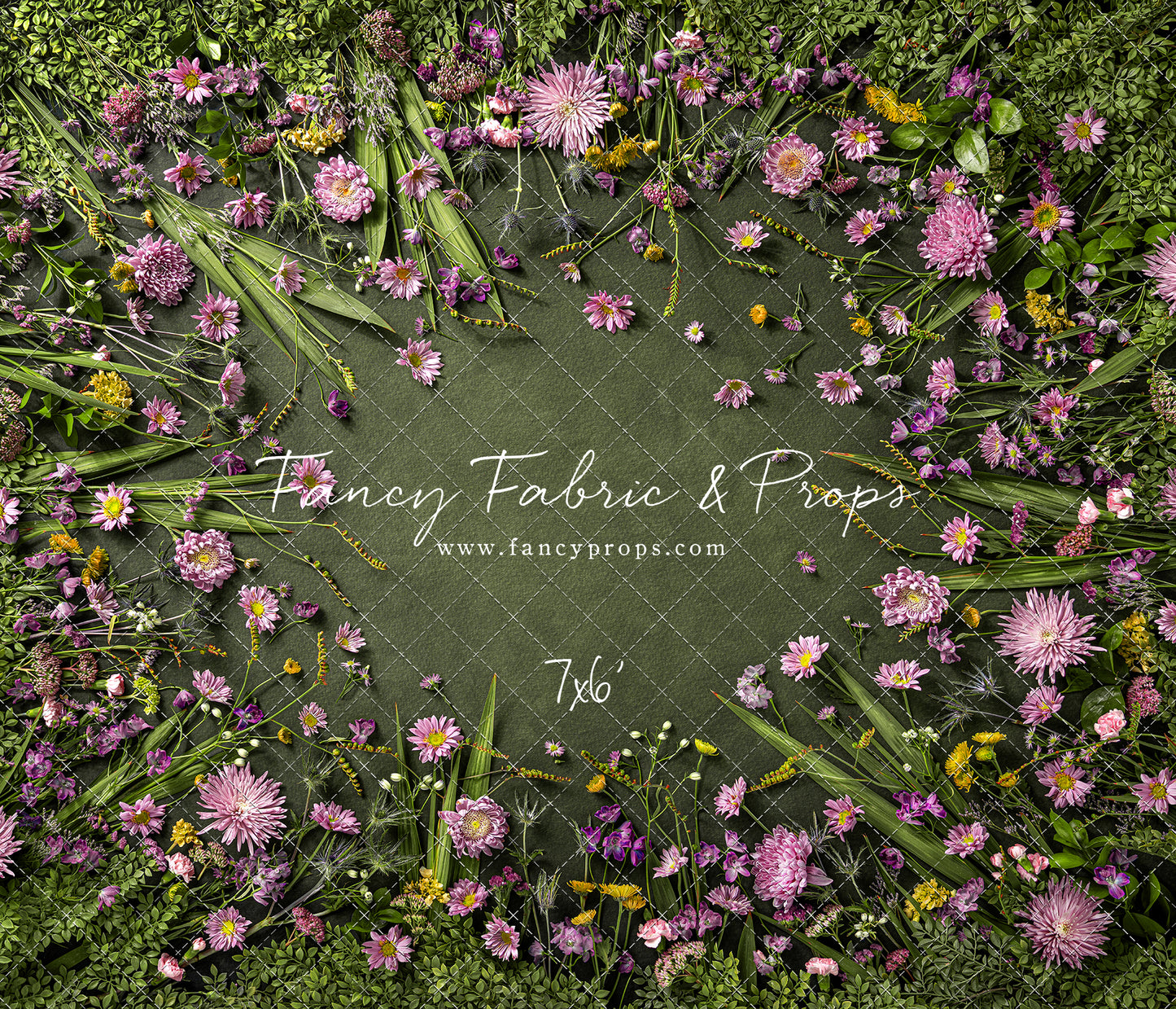 Chrysanthemum Blooms