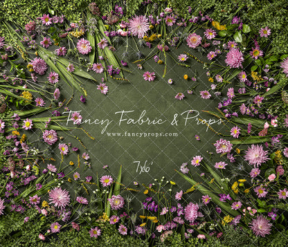 Chrysanthemum Blooms