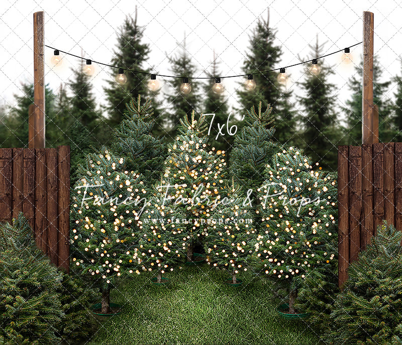 Cut & Carry Tree Farm